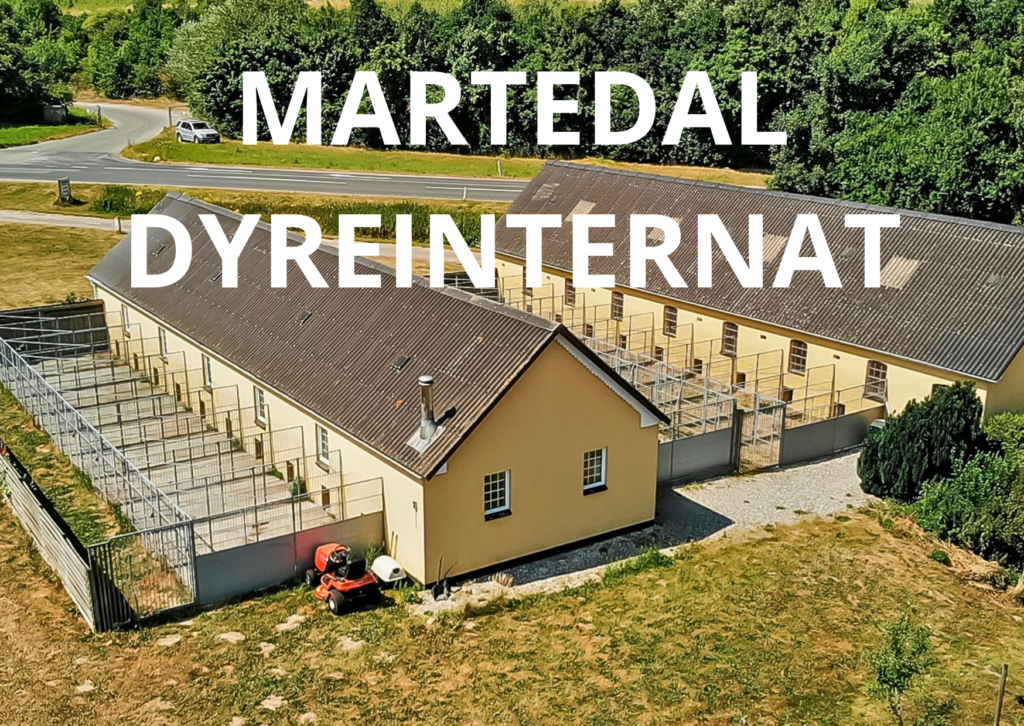Martedal Dyreinternat